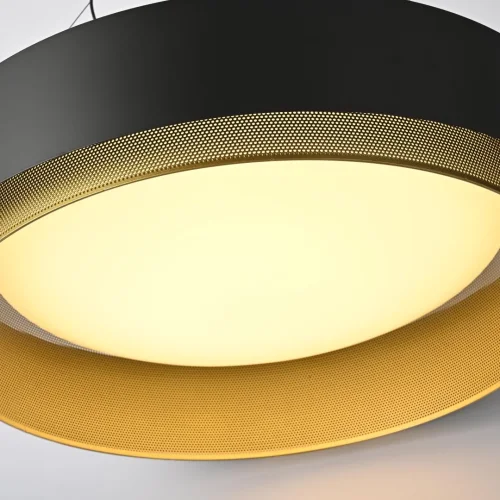 Светильник подвесной LED Casing 101409-26 ImperiumLoft золотой чёрный 1 лампа, основание чёрное в стиле современный  фото 4
