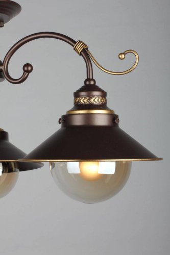 Люстра потолочная Fontelo OML-50407-03 Omnilux прозрачная на 3 лампы, основание коричневое в стиле кантри  фото 5