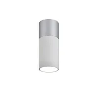 Светильник накладной LED Deepak 3071-1C Favourite белый 1 лампа, основание белое в стиле модерн круглый
