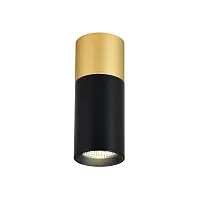 Светильник накладной LED Deepak 3074-1C Favourite чёрный 1 лампа, основание золотое в стиле модерн круглый