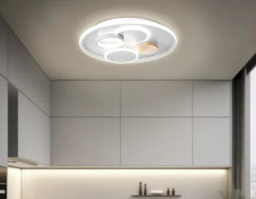 Светильник потолочный LED с пультом FL4803 Ambrella light серый 1 лампа, основание серое в стиле современный хай-тек с пультом фото 8