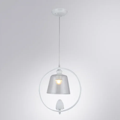 Светильник подвесной Passero A4289SP-1WH Arte Lamp прозрачный 1 лампа, основание белое в стиле прованс птички фото 2