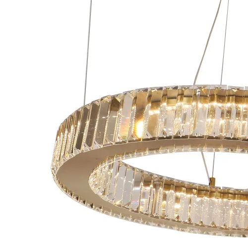 Люстра подвесная LED Manor 4195-6P Favourite прозрачная на 2 лампы, основание золотое в стиле классический кольца фото 4