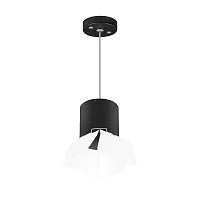 Светильник подвесной Rullo GX53 RP3487486 Lightstar чёрный 1 лампа, основание чёрное в стиле модерн хай-тек 