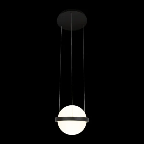 Светильник подвесной LED Jardin 10121/A LOFT IT белый 1 лампа, основание чёрное в стиле современный шар фото 2