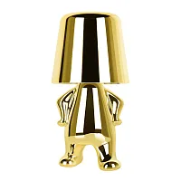 Настольная лампа LED Brothers 10233-C Gold LOFT IT золотая 1 лампа, основание золотое металл в стиле современный животные