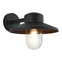 Настенный светильник уличный Basko SL9542.701.01 ST-Luce уличный IP графит чёрный на 1 лампу, плафон прозрачный в стиле лофт E27