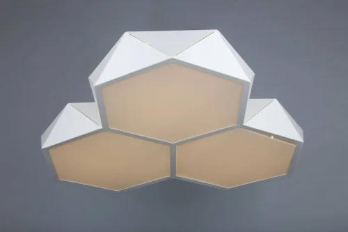 Люстра потолочная Evesham OML-45307-60 Omnilux белая на 1 лампу, основание белое в стиле хай-тек фото 2