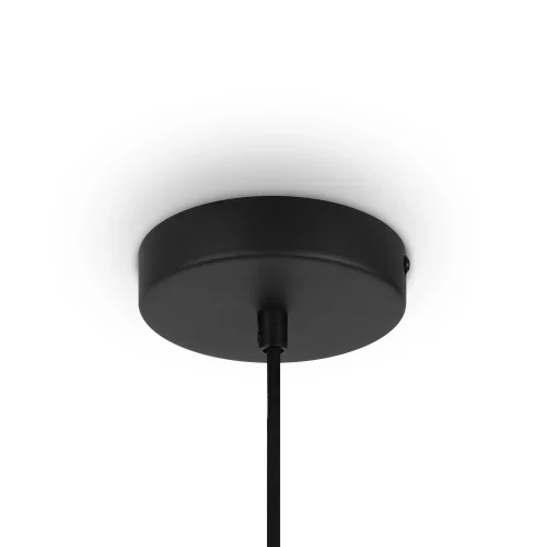Светильник подвесной Roots MOD194PL-01W Maytoni бежевый 1 лампа, основание чёрное в стиле кантри современный  фото 6