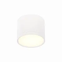 Светильник накладной LED Rene ST113.532.09 ST-Luce белый 1 лампа, основание белое в стиле хай-тек круглый