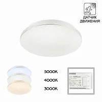 Светильник потолочный LED с диммером Симпла CL71424SV Citilux белый 1 лампа, основание белое в стиле хай-тек модерн датчик движения