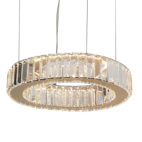 Люстра подвесная LED Manor 4195-4P Favourite прозрачная на 1 лампа, основание золотое в стиле классический кольца фото 4