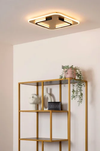 Светильник потолочный LED Andreas 44114/30/02 Lucide латунь матовый золото на 1 лампу, основание латунь матовое золото в стиле современный фото 5