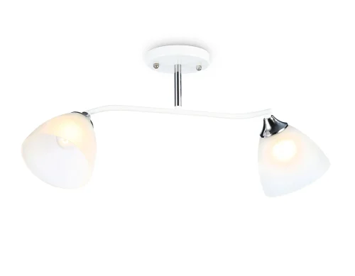 Светильник потолочный TR303001 Ambrella light белый 2 лампы, основание белое в стиле современный 