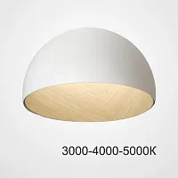 Светильник потолочный BARA B D50 White Трехцветный свет 224007-23 ImperiumLoft белый на 1 лампу, основание коричневое в стиле современный скандинавский минимализм 