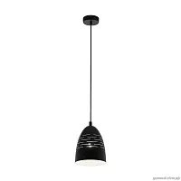 Светильник подвесной Camastra 98073 Eglo чёрный 1 лампа, основание чёрное в стиле современный 