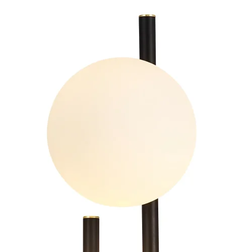 Бра Soffiato 3048-2W Favourite белый на 2 лампы, основание чёрное в стиле современный  фото 3