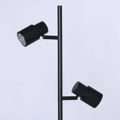 Торшер Астор 545044702 DeMarkt  чёрный 2 лампы, основание чёрное в стиле современный хай-тек
 фото 5
