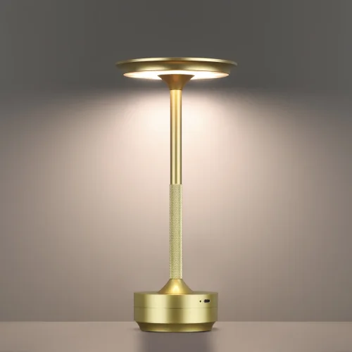 Настольная лампа LED DIMM Tet-A-Tet 5033/6TL Odeon Light матовая золото 1 лампа, основание матовое золото металл в стиле современный  фото 5