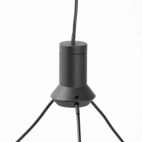 Светильник подвесной LED Hardin LSP-7433 Lussole прозрачный на 1 лампу, основание чёрное в стиле современный фото 3