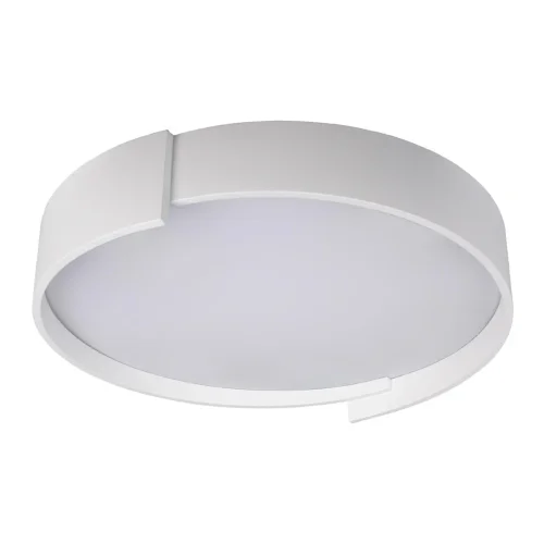 Светильник потолочный LED Coin 10200 White LOFT IT белый 1 лампа, основание белое в стиле современный  фото 4