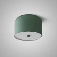 Светильник потолочный CYLINDER A Green 178350-26 ImperiumLoft зелёный 1 лампа, основание зелёное в стиле современный скандинавский 