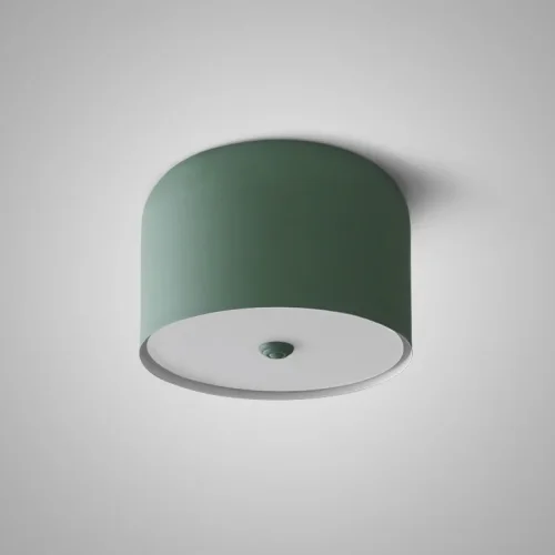 Светильник потолочный CYLINDER A Green 178350-26 ImperiumLoft зелёный на 1 лампу, основание зелёное в стиле скандинавский современный 