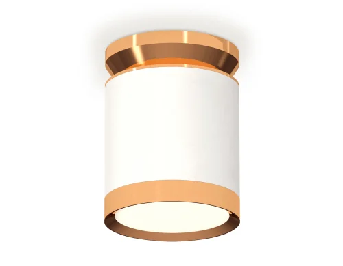 Светильник накладной XS8141030 Ambrella light белый 1 лампа, основание золотое в стиле хай-тек круглый