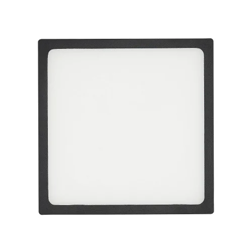 Светильник точечный LED Омега CLD50K152 Citilux белый 1 лампа, основание чёрное в стиле современный  фото 3