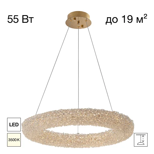 Люстра подвесная LED Cloudy CL323162 Citilux прозрачная на 1 лампу, основание золотое в стиле современный кольца
