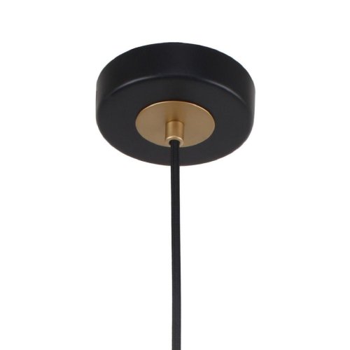 Светильник подвесной Rigor 2844-1P F-promo чёрный 1 лампа, основание чёрное в стиле лофт  фото 2