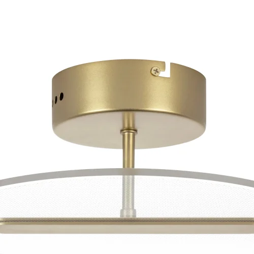 Светильник потолочный LED Acrile 738033 Lightstar прозрачный 1 лампа, основание золотое в стиле минимализм хай-тек современный  фото 4