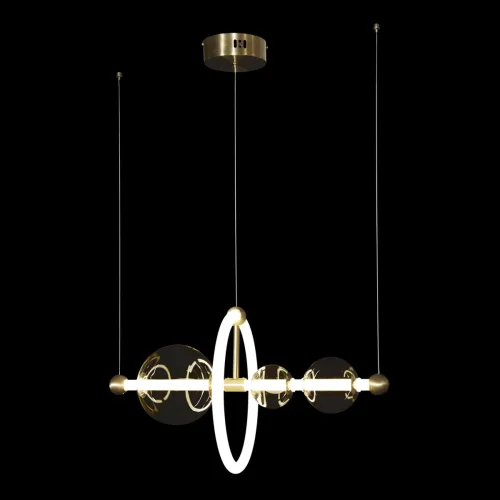 Светильник подвесной LED Alpha 10126/500 LOFT IT прозрачный 2 лампы, основание золотое в стиле современный шар фото 2