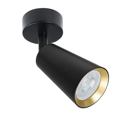 Светильник накладной Cintura A2353PL-1BK Arte Lamp чёрный 1 лампа, основание чёрное в стиле современный круглый