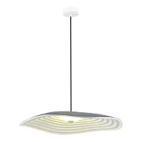 Светильник подвесной LED Oasis SL6208.711.12 ST-Luce серый на 1 лампу, основание белое в стиле минимализм 