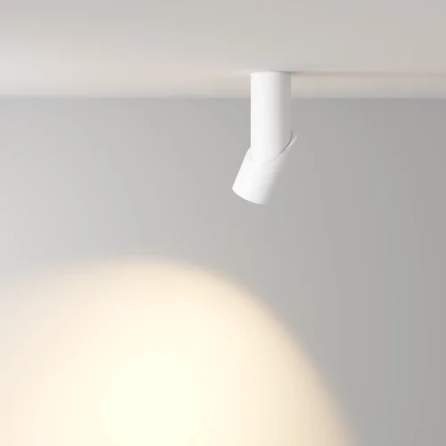 Светильник накладной LED Dafne C027CL-L10W Maytoni белый на 1 лампу, основание белое в стиле современный круглый фото 4