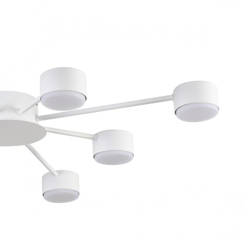 Светильник потолочный Torina 8343/8C Lumion белый на 8 ламп, основание белое в стиле минимализм фото 5
