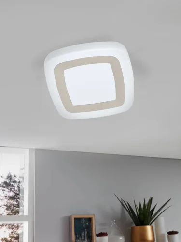 Светильник потолочный LED Ruidera 99109 Eglo белый 1 лампа, основание белое матовое никель в стиле современный  фото 2
