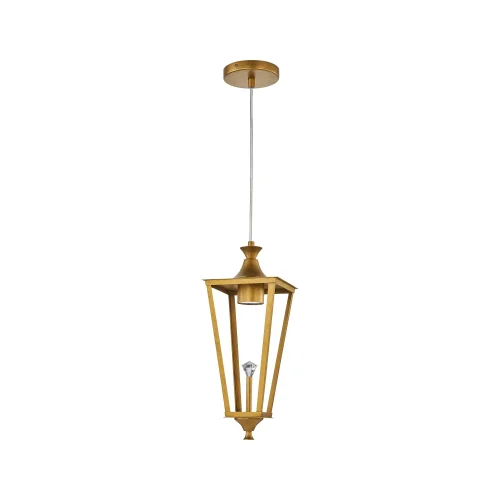 Светильник подвесной Lampion 4003-1P Favourite прозрачный 1 лампа, основание золотое в стиле классический  фото 2