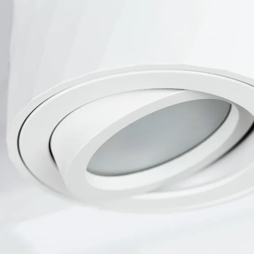 Светильник накладной Fang A5559PL-1WH Arte Lamp белый 1 лампа, основание белое в стиле современный круглый фото 2