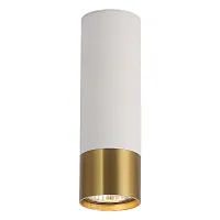Светильник накладной Gilbert LSP-8831 Lussole бронзовый белый 1 лампа, основание белое в стиле хай-тек современный круглый