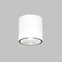 Накладной светильник уличный LED Spin O310CL-L12W3K Maytoni уличный IP54 белый на 1 лампу, плафон белый в стиле современный LED