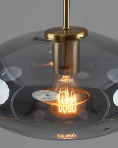 Светильник подвесной Laura V11530-1P Moderli чёрный дымчатый на 1 лампу, основание чёрное в стиле современный лофт фото 5