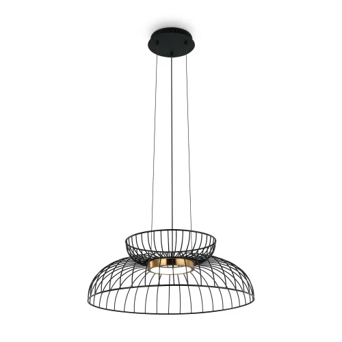 Светильник подвесной LED Citrus FR5398PL-L6B Freya чёрный 1 лампа, основание чёрное в стиле современный 