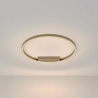 Светильник потолочный LED Rim MOD058CL-L50BS3K Maytoni латунь 1 лампа, основание латунь в стиле современный хай-тек минимализм 