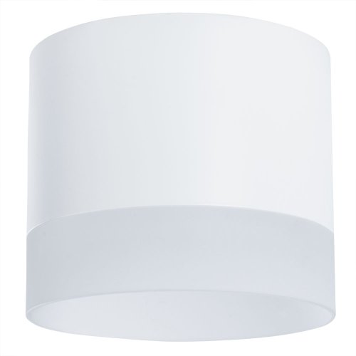 Светильник накладной Castor A5554PL-1WH Arte Lamp белый 1 лампа, основание белое в стиле современный круглый фото 2