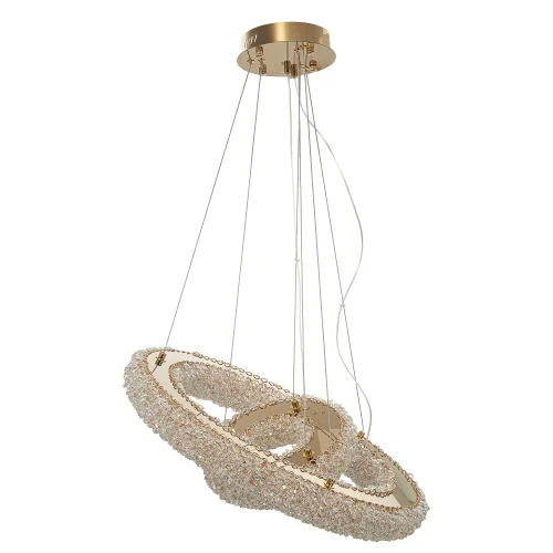 Люстра подвесная LED Cloudy CL323172 Citilux прозрачная на 1 лампу, основание золотое в стиле современный кольца фото 4
