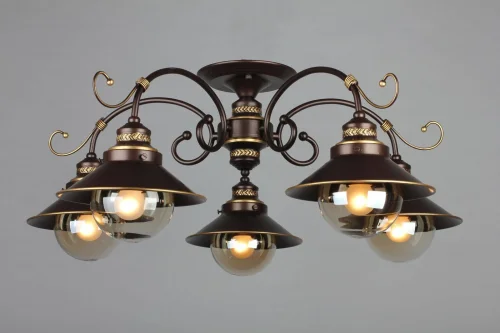 Люстра потолочная Fontelo OML-50407-05 Omnilux прозрачная на 5 ламп, основание коричневое в стиле кантри  фото 2