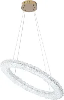 Люстра подвесная LED с пультом Felloria 4013/03/06P Stilfort прозрачная на 1 лампу, основание золотое в стиле современный кольца с пультом