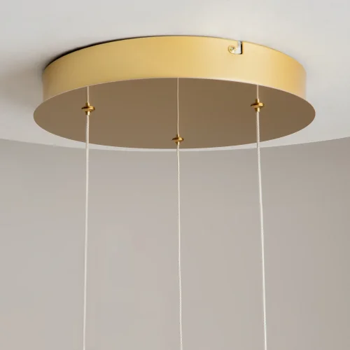 Светильник подвесной LED Foresight MOD347PL-L24BS3K Maytoni прозрачный на 1 лампу, основание латунь в стиле современный арт-деко каскад фото 12